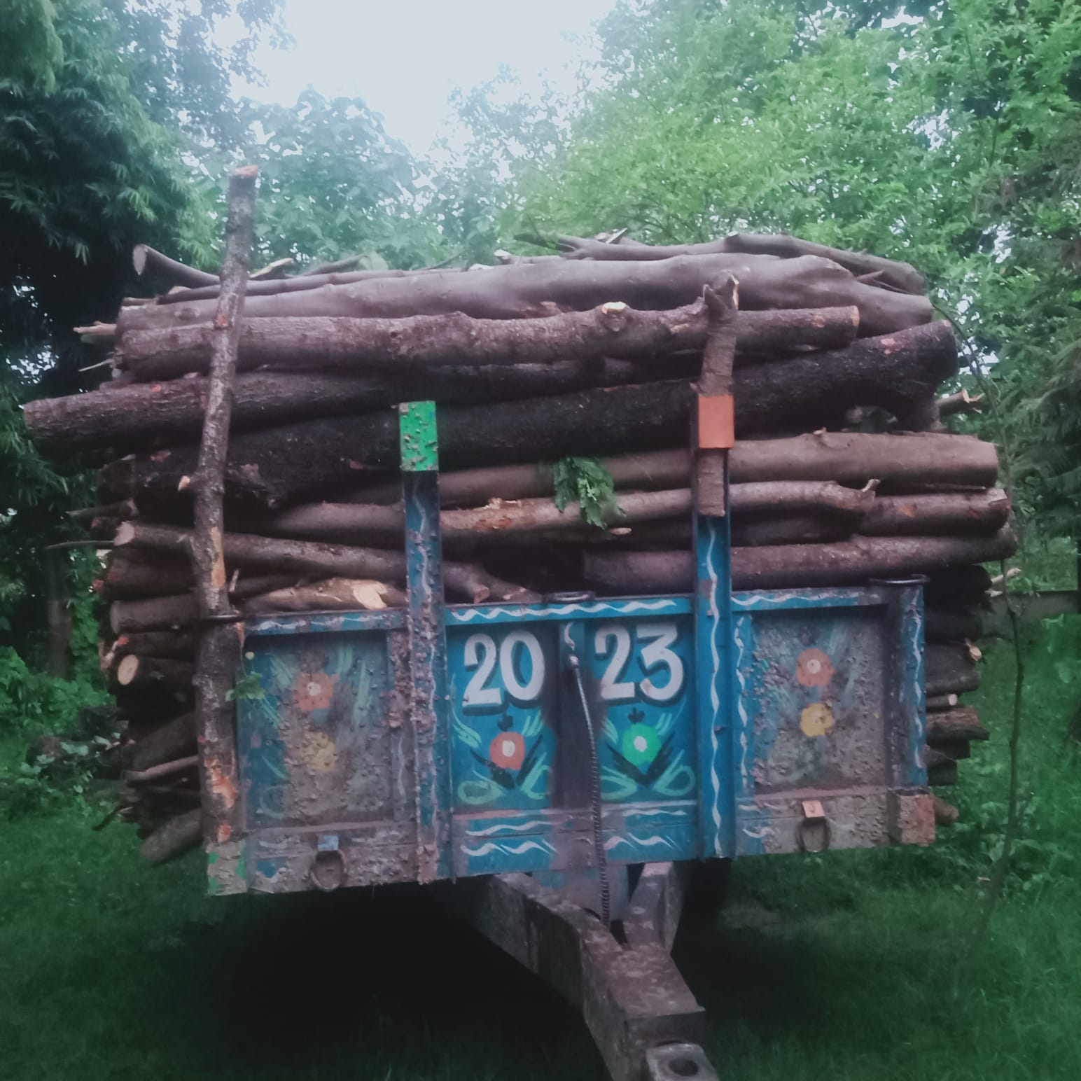 भर्ष्टाचार की भेंट चढ़ गयी वन विभाग द्वारा पकड़ी गयी लकड़ी से भरी ट्रेक्टर August